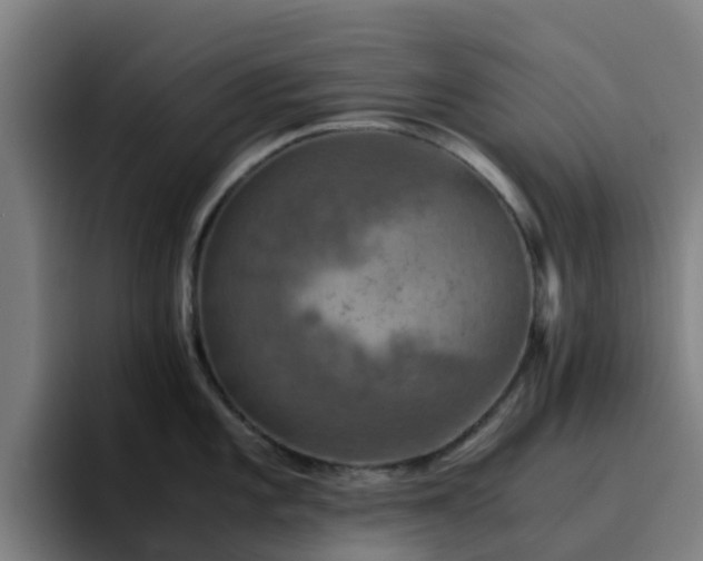 X0000094911101200712061044