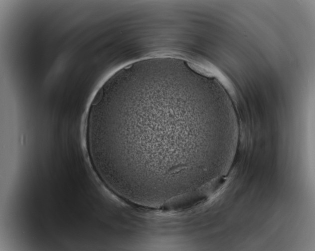 X0000094911102200712061044