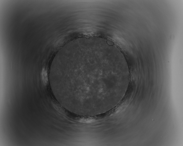 X0000094911106200712061043