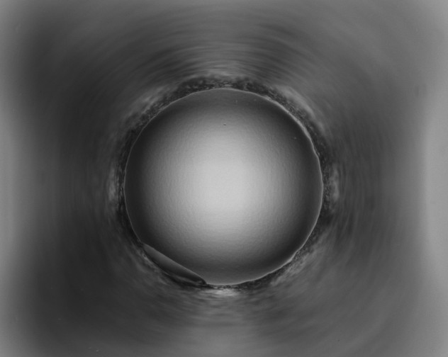 X0000094911110200712061043