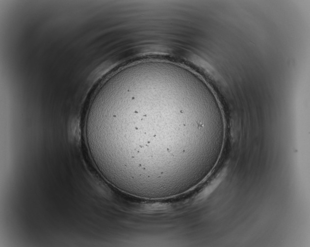 X0000094911113200712061043