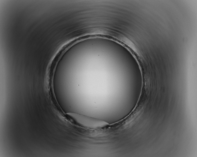 X0000094911116200712061043