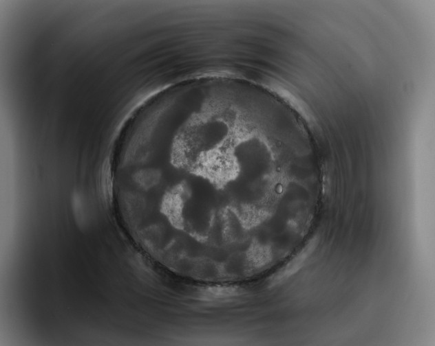 X0000094911117200712061043