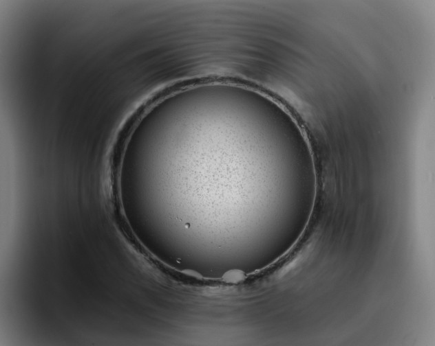 X0000094911118200712061043