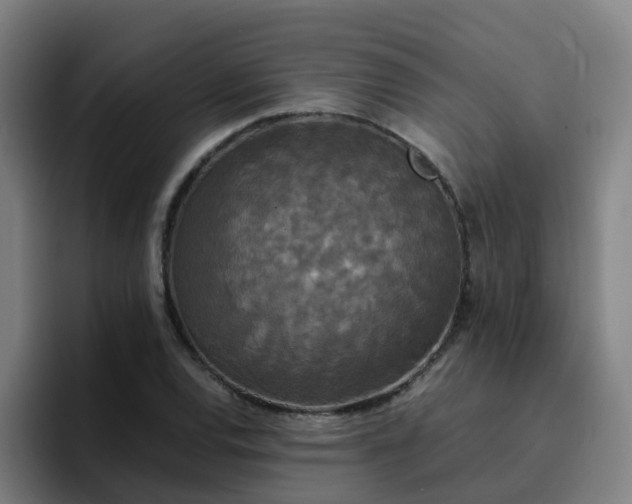 X0000094911120200712061043