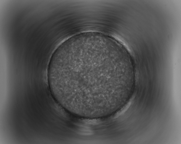 X0000094911121200712061043