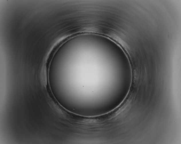 X0000094911123200712061043
