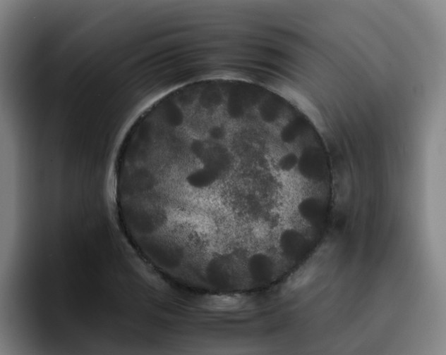 X0000094911125200712061043