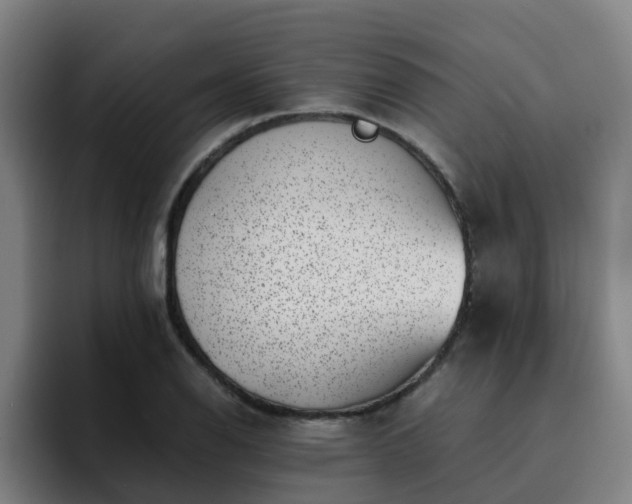 X0000094911126200712061043