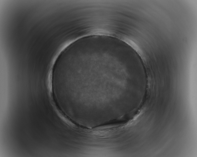 X0000094911128200712061043