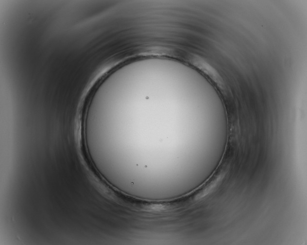 X0000094911130200712061043