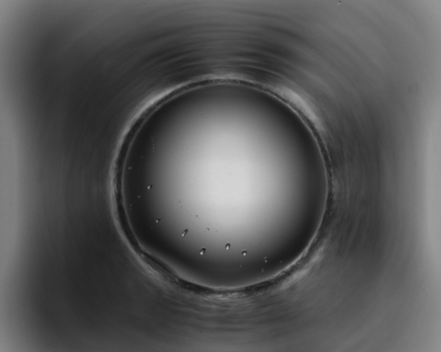 X0000094911133200712061043
