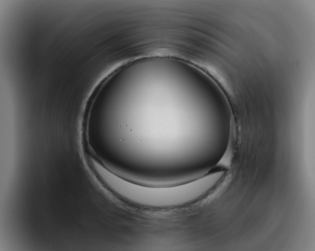X0000094911134200712061043