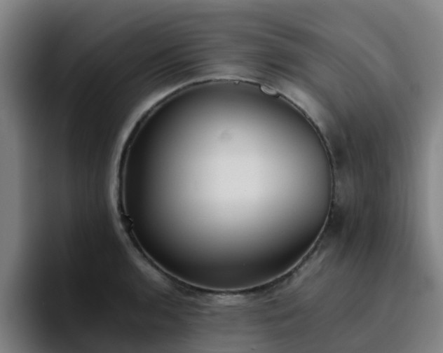 X0000094911136200712061043