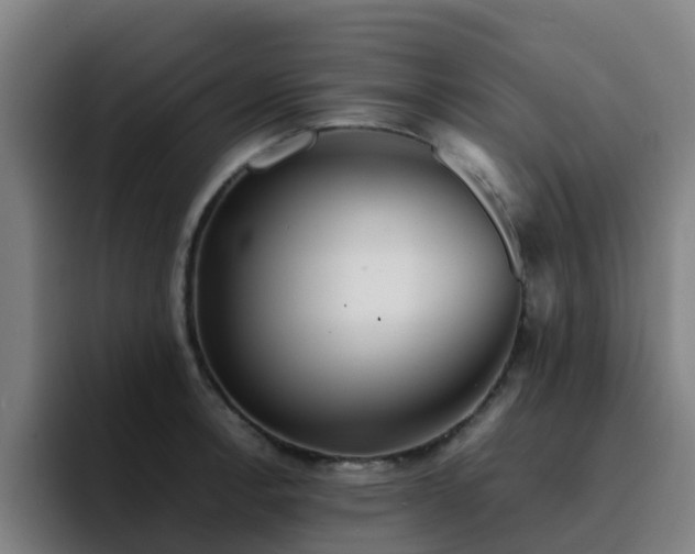 X0000094911138200712061043