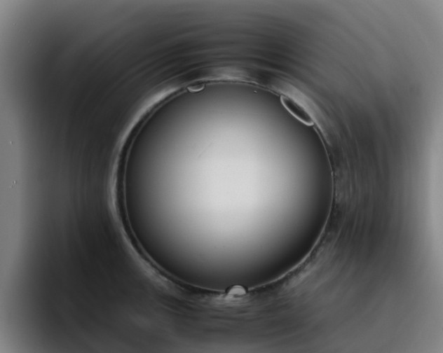 X0000094911139200712061043