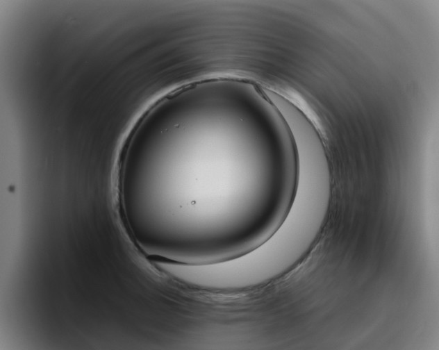 X0000094911140200712061043