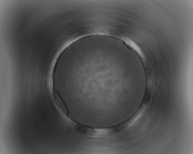 X0000094911144200712061043