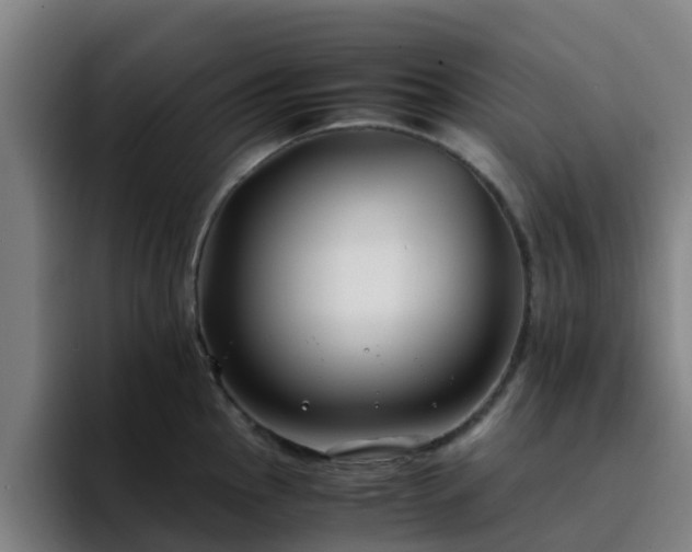 X0000094911145200712061043