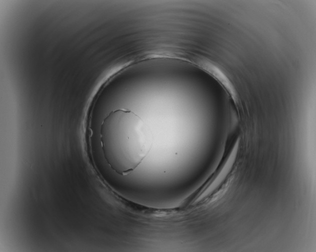 X0000094911146200712061043