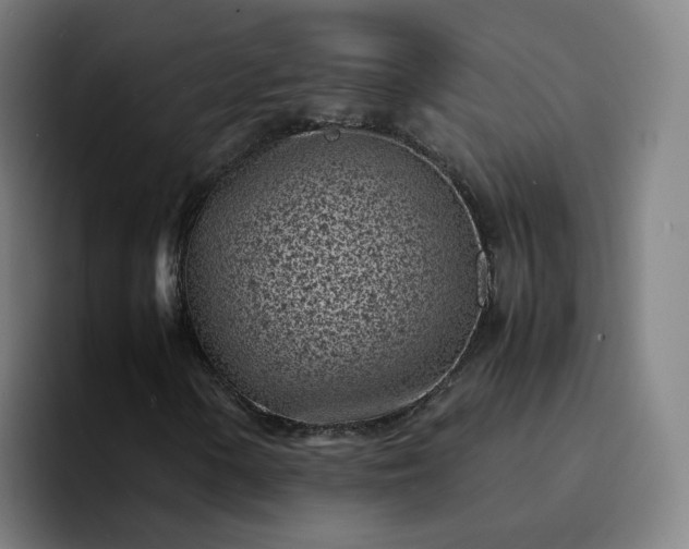 X0000094911154200712061043