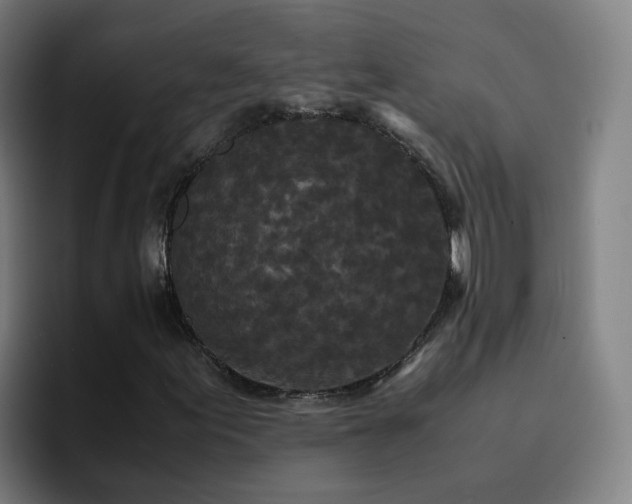 X0000094911155200712061043