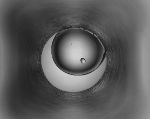 X0000094911156200712061043