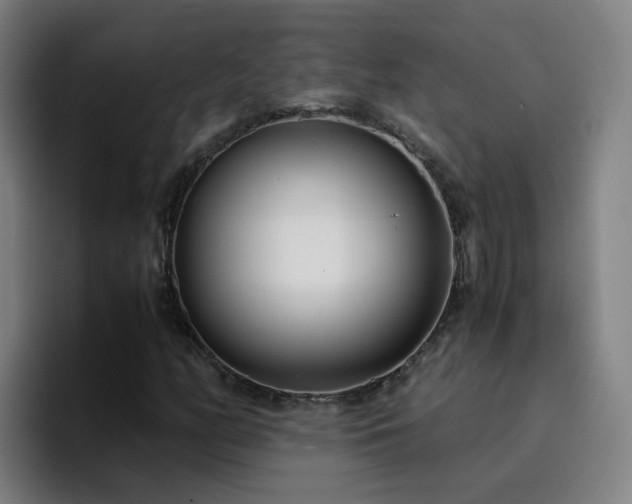 X0000094911158200712061043