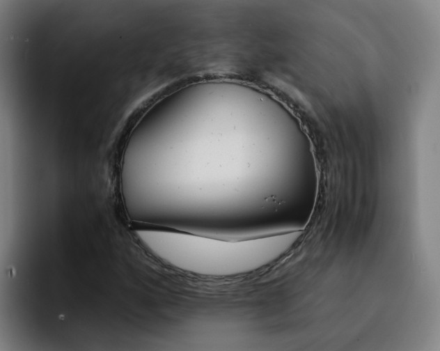 X0000094911160200712061043