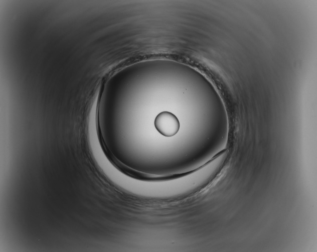 X0000094911161200712061043