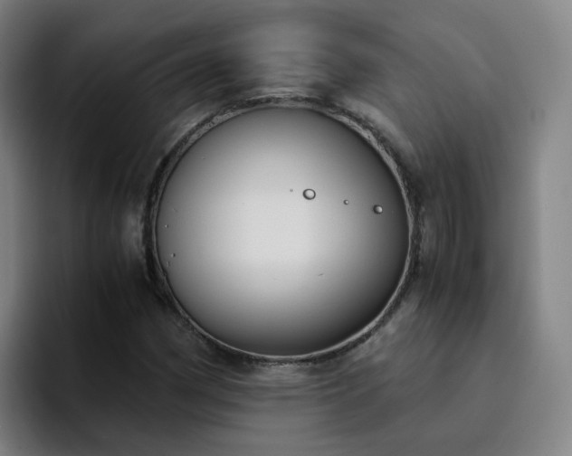 X0000094911162200712061043