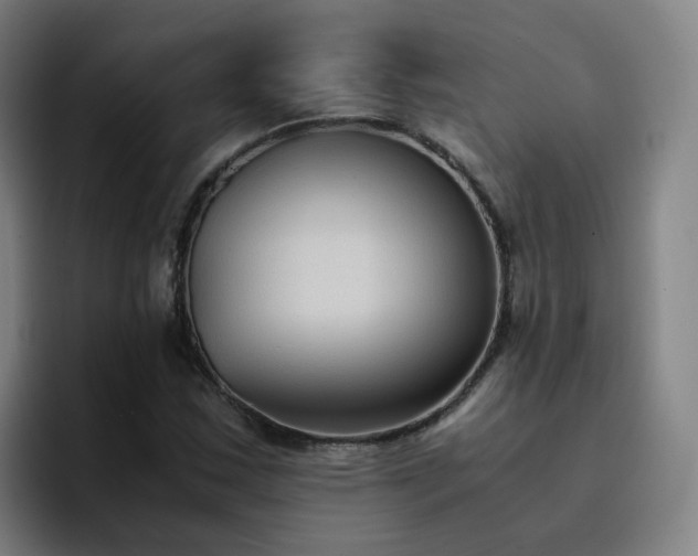 X0000094911163200712061043
