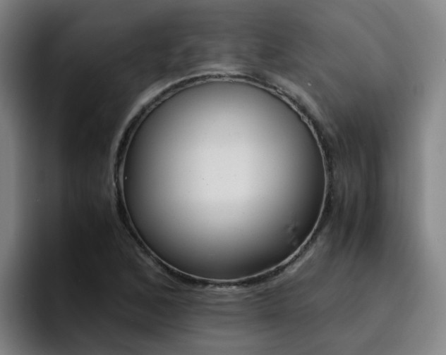 X0000094911168200712061043