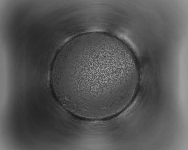 X0000094911169200712061043