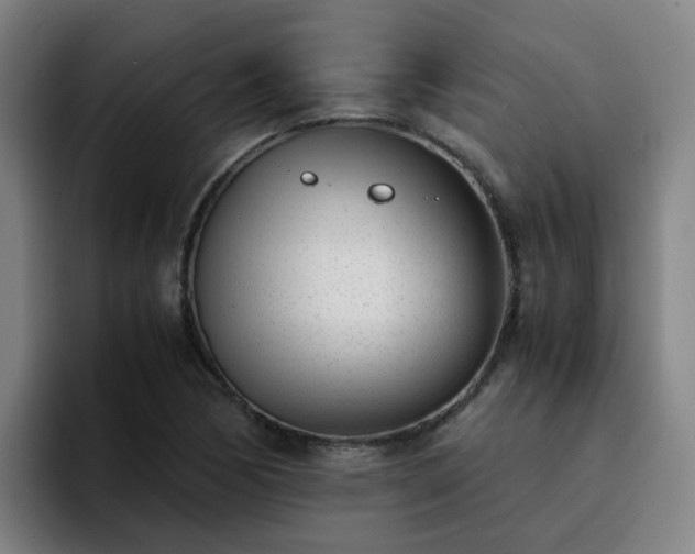 X0000094911170200712061043