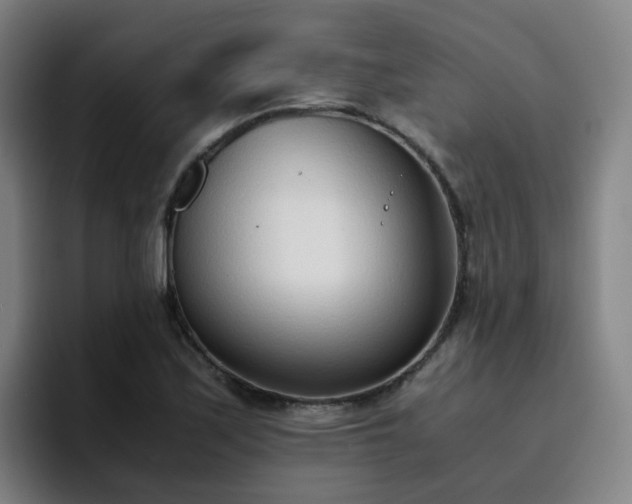 X0000094911171200712061043