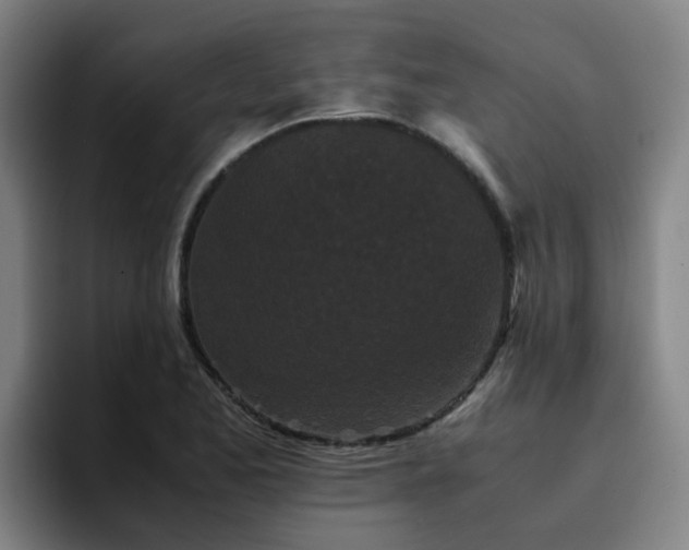 X0000094911173200712061043