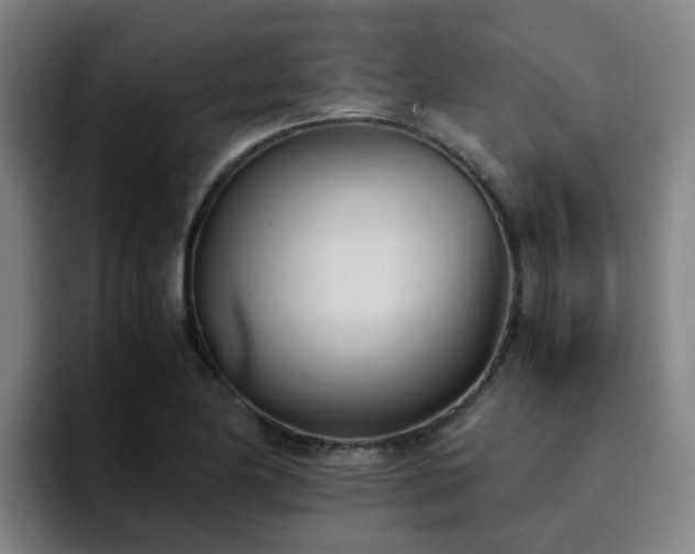 X0000094911174200712061043