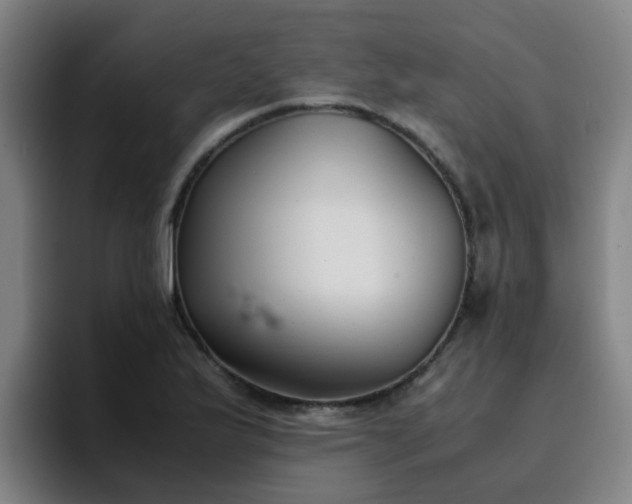 X0000094911175200712061043