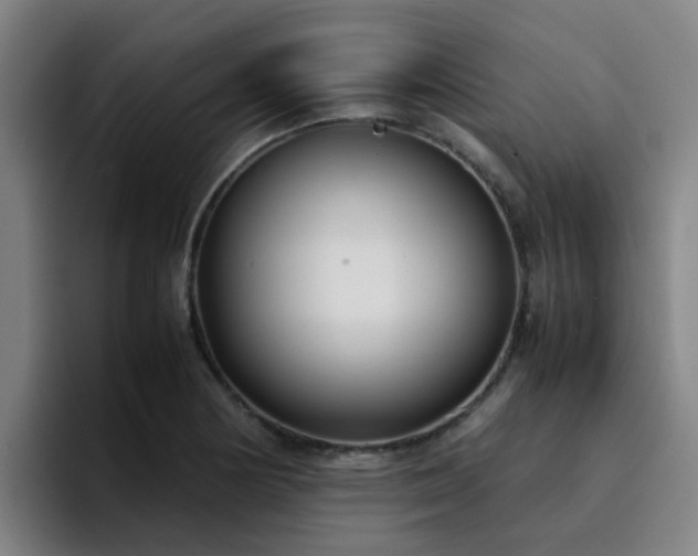 X0000094911178200712061043