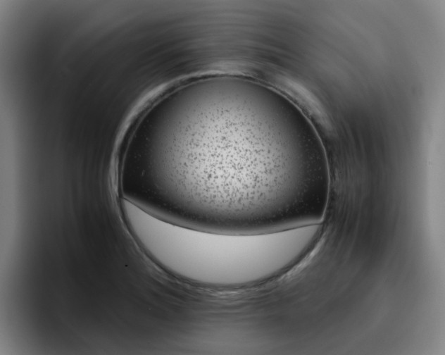 X0000094911180200712061043