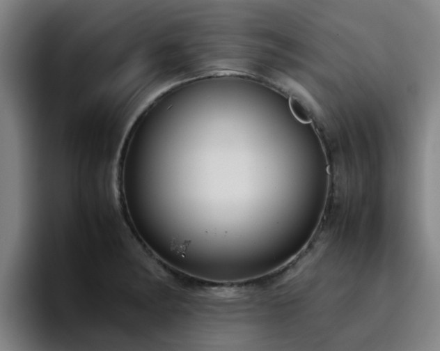 X0000094911182200712061043