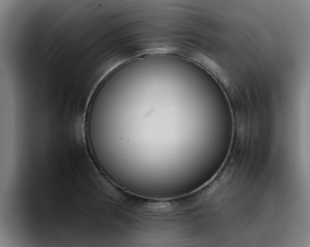 X0000094911186200712061042