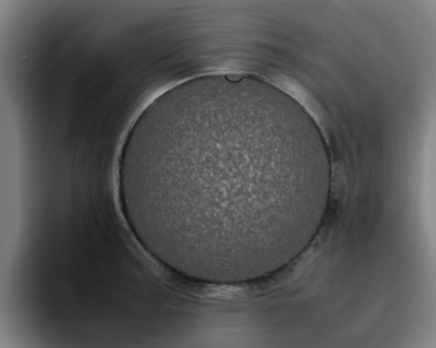 X0000094911187200712061042