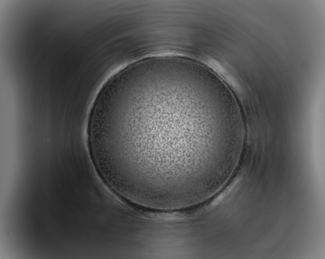 X0000094911189200712061042