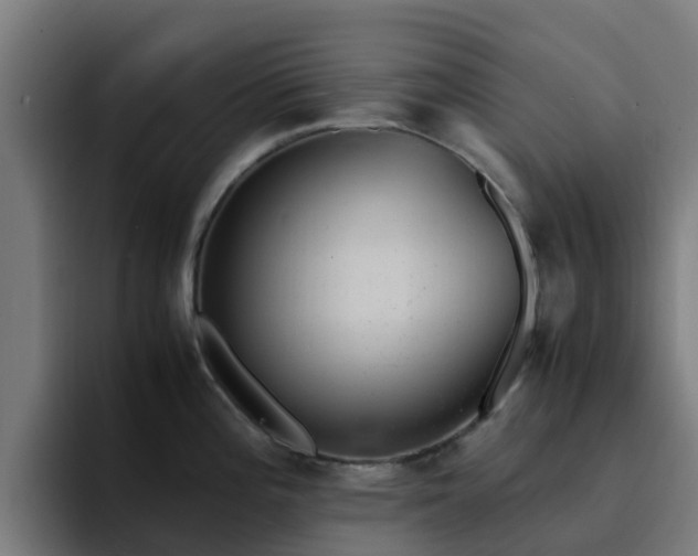 X0000094911196200712061042