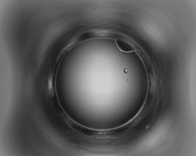 X0000094911198200712061042