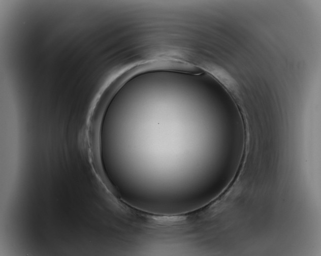 X0000094911200200712061042