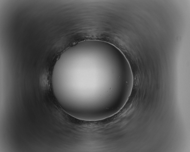 X0000094911202200712061042