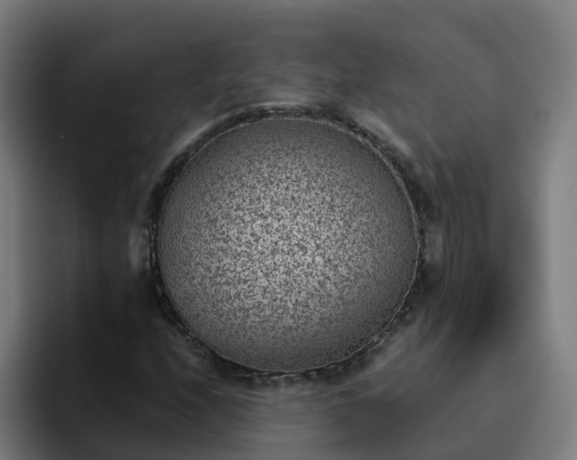 X0000094911208200712061042